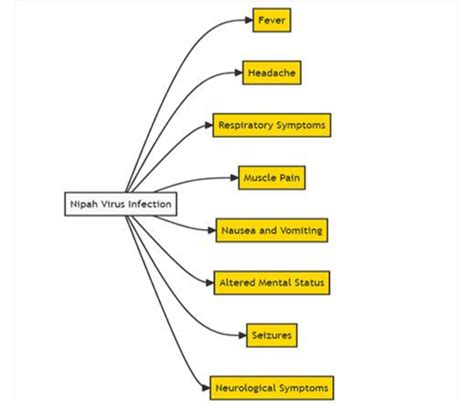 Clinical manifestation of Nipah virus in humans. | Download Scientific Diagram