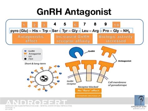 GnRH agonist versus antagonist and impact on cycle outcome