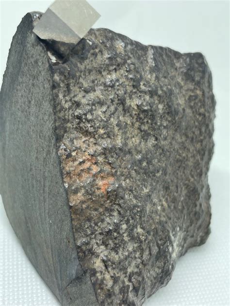 EC 011 MAIN MASS Carbonaceous chondrite - 490 g - (1) - Catawiki