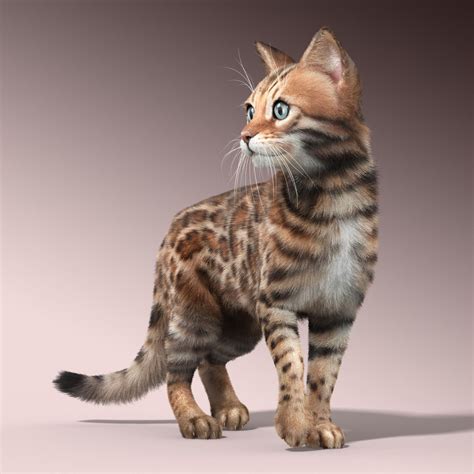 Bengal cat FUR 3D Model MAX OBJ - CGTrader.com