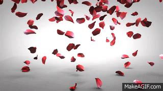 Falling Rose Petals on Make a GIF