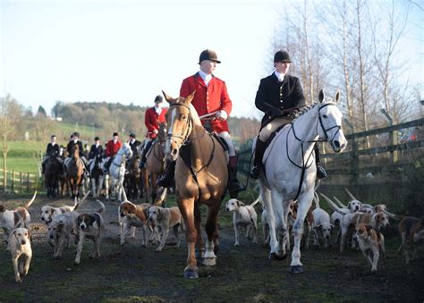 No wonder fox hunting is still prevalent – the ban is designed to fail British wildlife