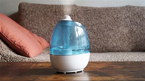 The Best Whole House Humidifier You Need This Winter