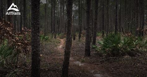 Best Trails in Pine Log State Forest - Florida | AllTrails