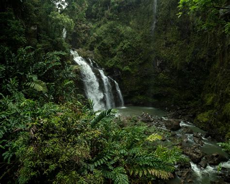 Jungle Waterfall Pictures | Download Free Images on Unsplash