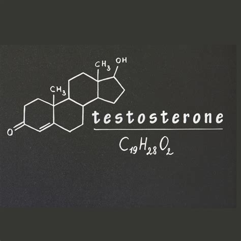 male fertility and hormones