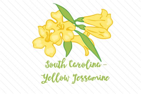 State Flower: South Carolina Yellow Jessamine SVG Cut file by Creative ...