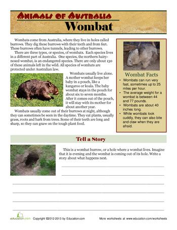 Wombat Facts | Worksheet | Education.com | Wombat facts, Australian ...