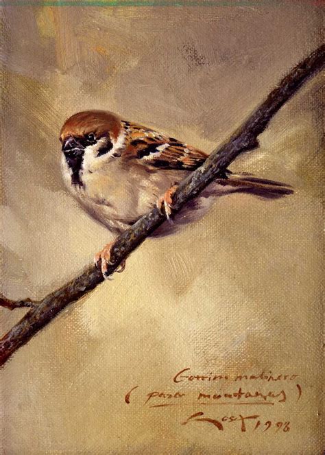 oil painting little bird white background - Google Search | Sparrow art, Bird art, Bird drawings