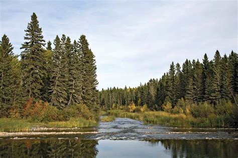 Prince Albert National Park | national park, Saskatchewan, Canada | Britannica