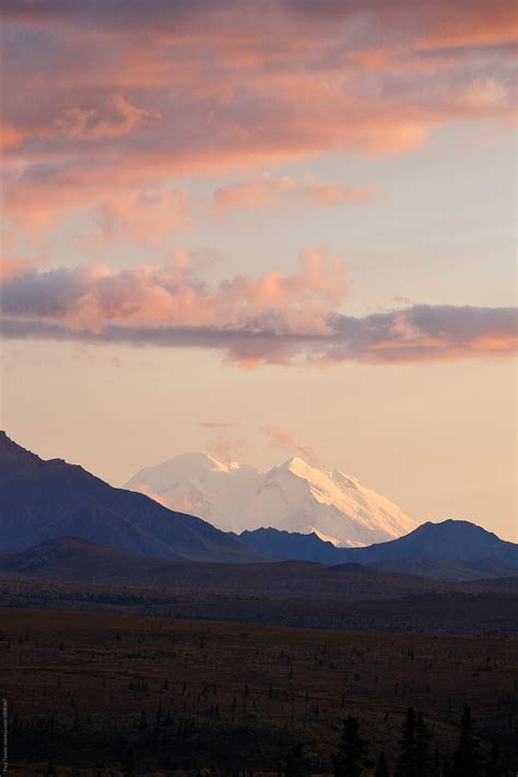 "Denali At Sunset" by Stocksy Contributor "Paul Tessier" - Stocksy