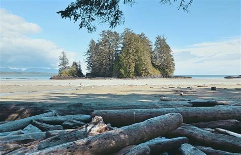 8 Best Tofino Beaches To Explore And Enjoy In 2024