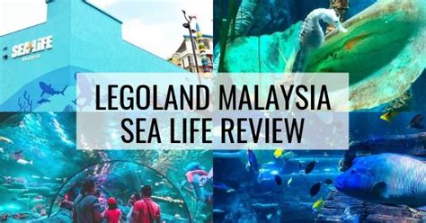 Legoland Malaysia Sealife Aquarium Review (Photo Inside 2024)