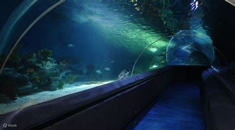 Sea Life Aquarium Ticket in Istanbul, Turkey - Klook India