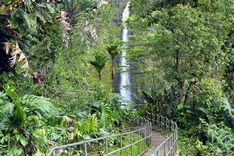 Top Hiking & Trails in North Hamakua Region | Big Island Hawaii