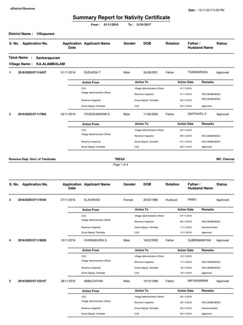 Summary Report for Nativity Certificate