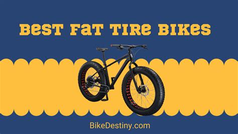 Top 10 Best Fat Tire Bikes for the Money at Your Disposal!