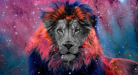 Top 999+ Galaxy Lion Wallpaper Full HD, 4K Free to Use