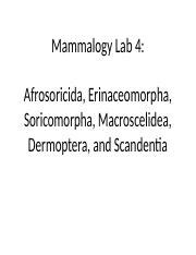 Mammalogy Lab 4: Placental Mammals and Their Unique | Course Hero