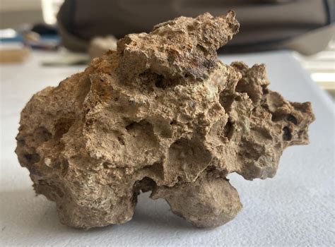 Chert formation? : r/whatsthisrock