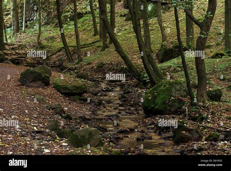 Tabarz, Germany, the Thuringian Forest Nature Park Stock Photo - Alamy