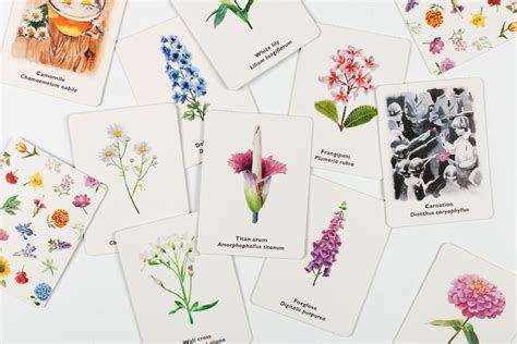 Pick A Flower | Memory Game | Conscious Craft