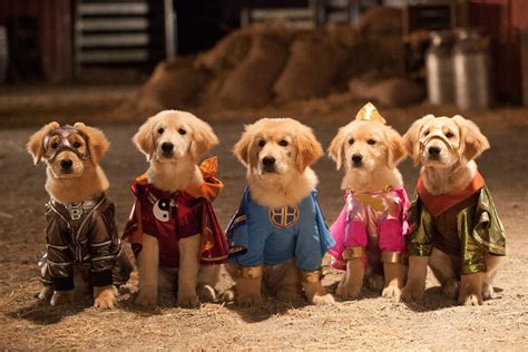 Super Buddies | Dog Movies on Netflix You Can Watch Right Now | POPSUGAR Pets Photo 13