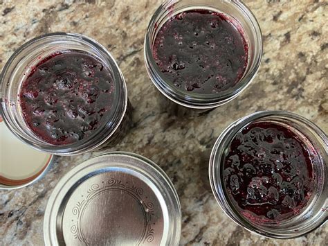 Homemade Huckleberry Jam | Favorite Family Recipes