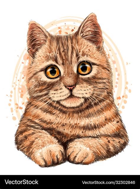 Cat color graphic artistic drawing Royalty Free Vector Image