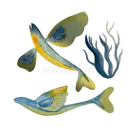 Watercolor Hand-drawn Flying Fishes on White Stock Illustration ...