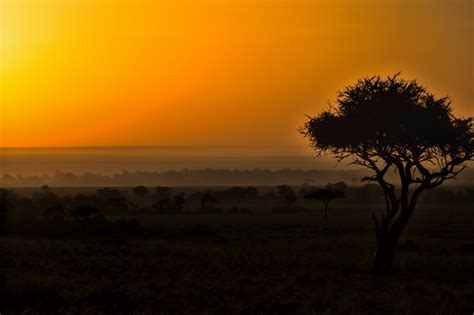 masai mara sunrise by karenlewis_3354 - VIEWBUG.com