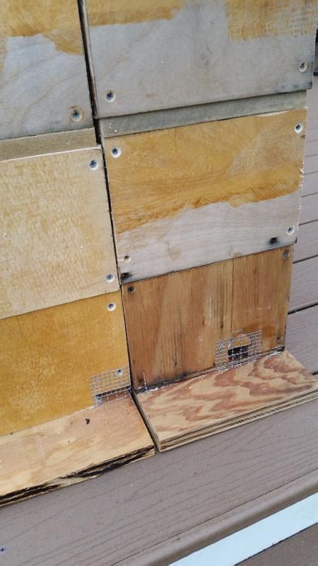 Wintering a double medium nuc, insulate, ventilate? | Beesource ...