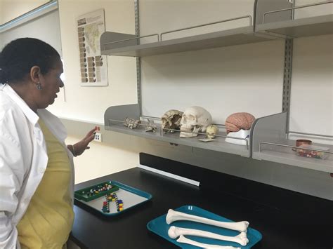 CSN Opens State-of-the-Art Biological Anthropology Lab