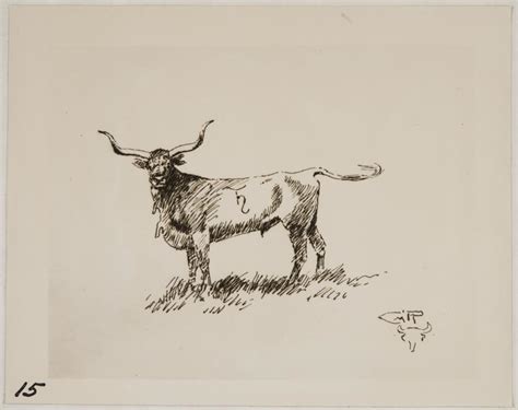 Longhorn Sketch at PaintingValley.com | Explore collection of Longhorn ...