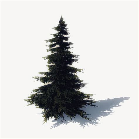 Pine Tree Download Free 3D models