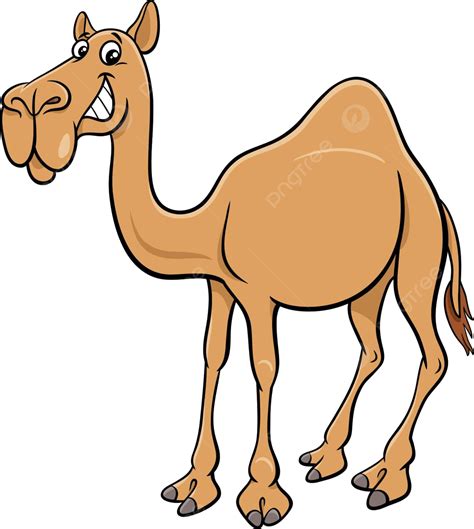 Cartoon Dromedary Camel Comic Animal Character Africa Cheerful Happy ...