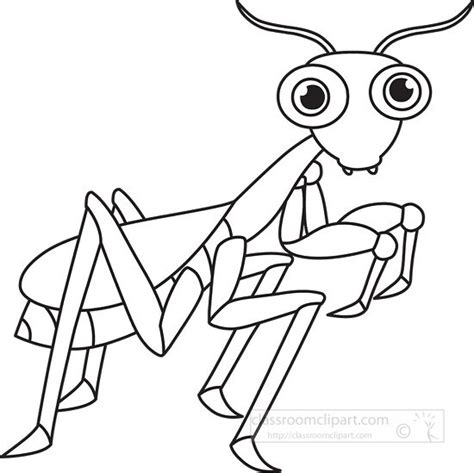 Animal Outline Clipart-praying mantis insect cartoon black white ...