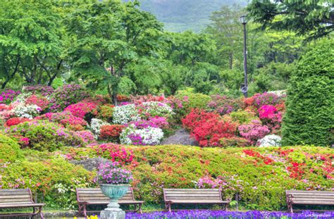 Hakone Gora Park – Lakbayer