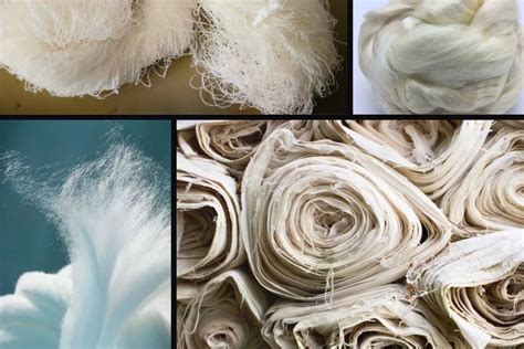 Rayon vs. Cotton: A Guide to Choosing the Right Fabric