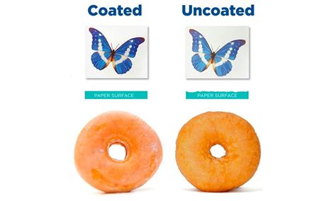 Difference Between Coated and Uncoated Paper | PackMojo