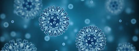 Virus Herpes Simple: contagio, síntomas y cura -canalSALUD