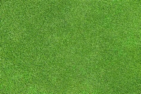 Green grass texture - Stock Image - Everypixel