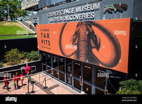 at La Brea Tar Pits Museum in Los Angeles, California Stock Photo - Alamy