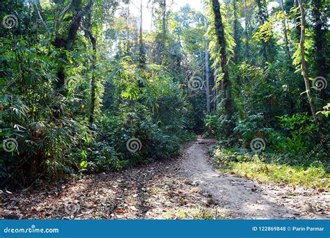 Path On Green Hill With Lake And Mountain In Background Royalty-Free ...