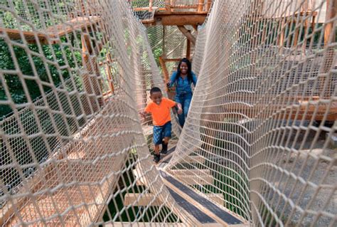 Bronx Zoo launches new aerial attractions – Bronx Times