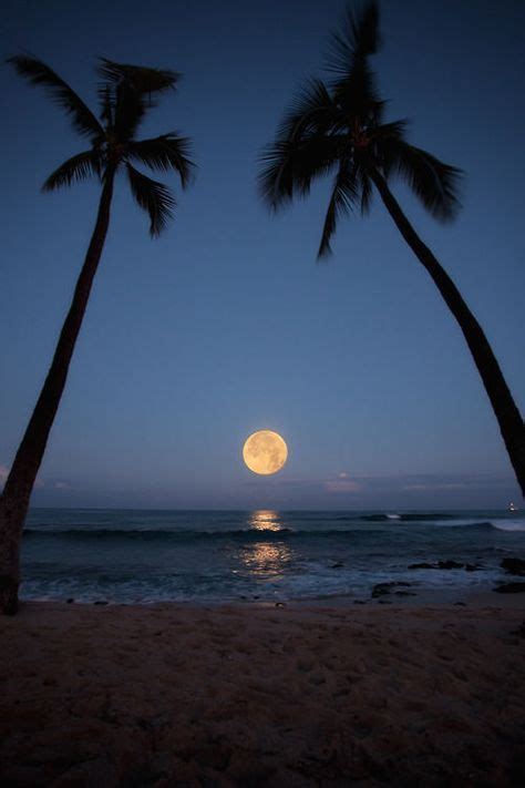 Moonrise over the beach...one of my most favorite things in the world ...