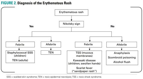 Erythematous Rash