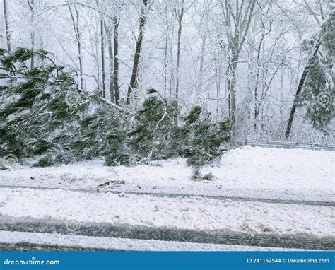 Virginia snow storm damage stock photo. Image of grass - 241162544