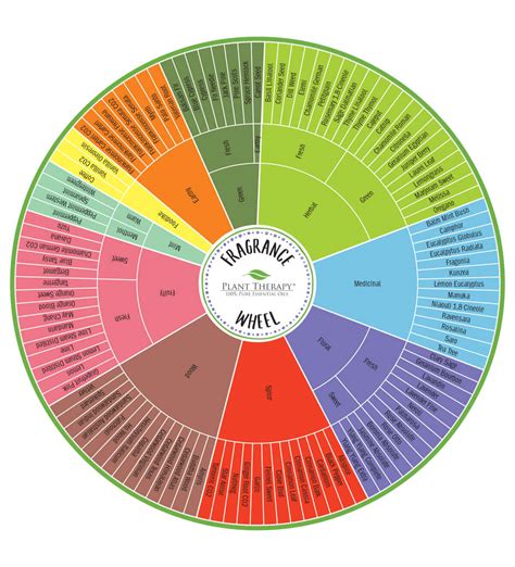 The Fragrance Wheel - Goodmart