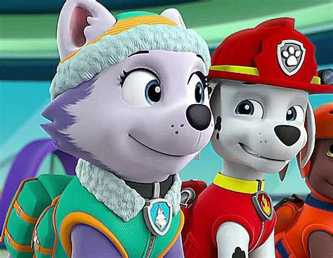 Marshall and Everest - PAW Patrol Fan Art (40215718) - Fanpop